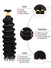 Brazilian Bulk Hair For Braiding Human Hair Deep Wave Braids Human Hair Extension No Weft